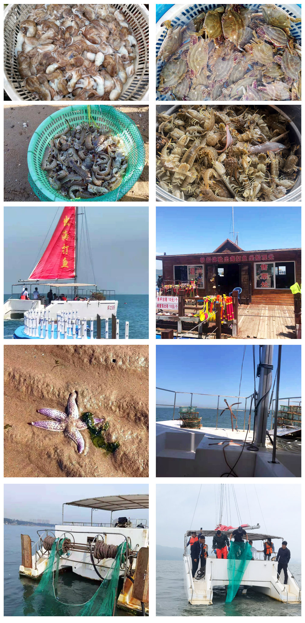 出海打魚(yú)